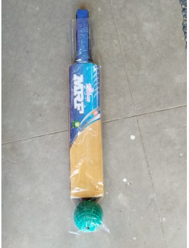 CRICKET BAT & BALL